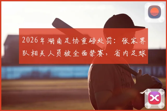 2026年湖南足协重磅处罚：张家界队相关人员被全面禁赛，省内足球活动参与资格叫停