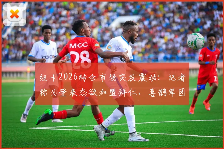 纽卡2026转会市场突发震动：记者称戈登表态欲加盟拜仁，喜鹊军团寻替代者方案曝光